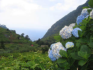 Madeira 2006